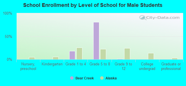 School Enrollment by Level of School for Male Students