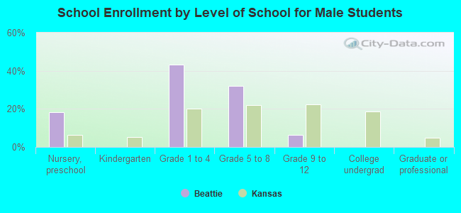 School Enrollment by Level of School for Male Students