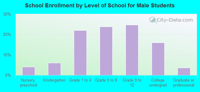 School Enrollment by Level of School for Male Students