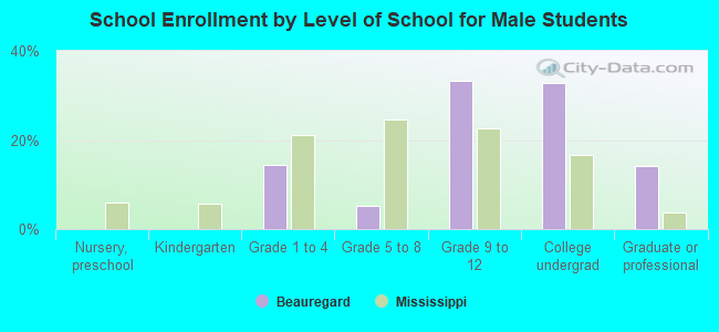 School Enrollment by Level of School for Male Students