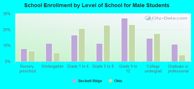 School Enrollment by Level of School for Male Students