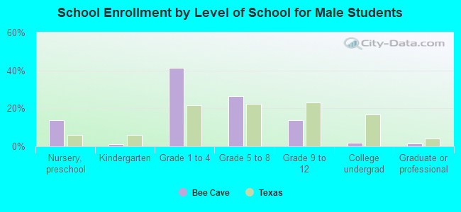 School Enrollment by Level of School for Male Students