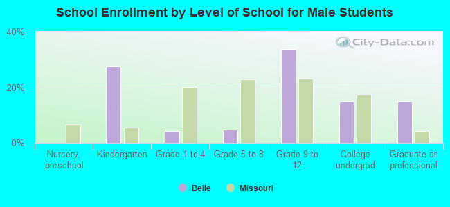 School Enrollment by Level of School for Male Students