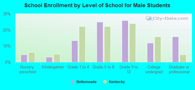 School Enrollment by Level of School for Male Students