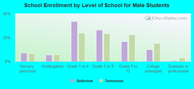 School Enrollment by Level of School for Male Students