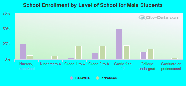 School Enrollment by Level of School for Male Students