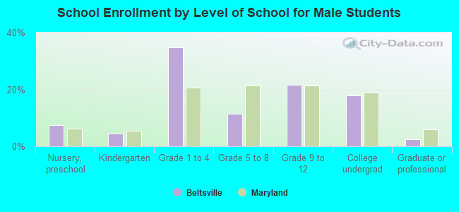 School Enrollment by Level of School for Male Students