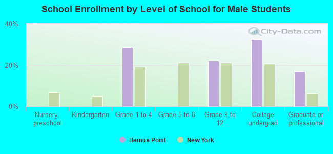 School Enrollment by Level of School for Male Students