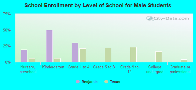 School Enrollment by Level of School for Male Students