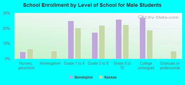 School Enrollment by Level of School for Male Students