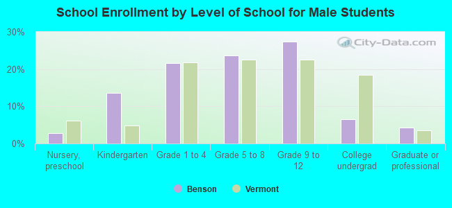 School Enrollment by Level of School for Male Students