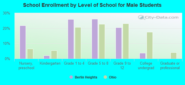 School Enrollment by Level of School for Male Students