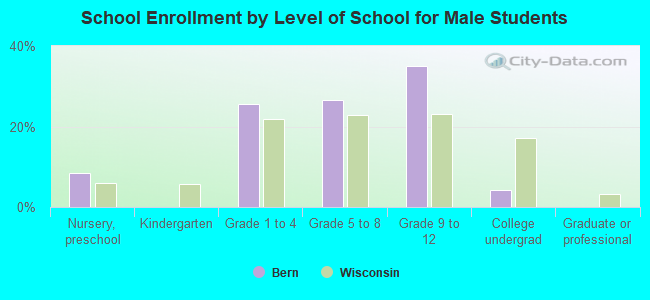 School Enrollment by Level of School for Male Students