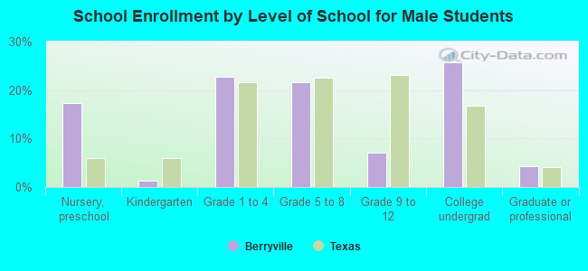 School Enrollment by Level of School for Male Students