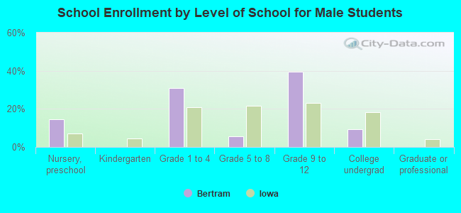 School Enrollment by Level of School for Male Students