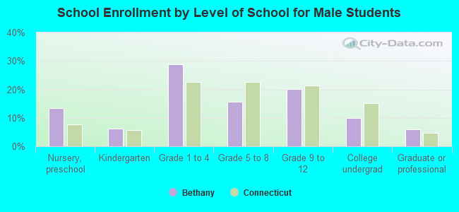 School Enrollment by Level of School for Male Students