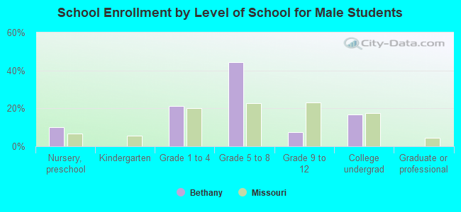 School Enrollment by Level of School for Male Students