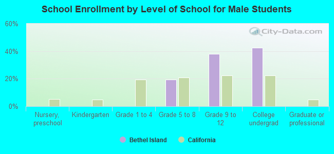 School Enrollment by Level of School for Male Students