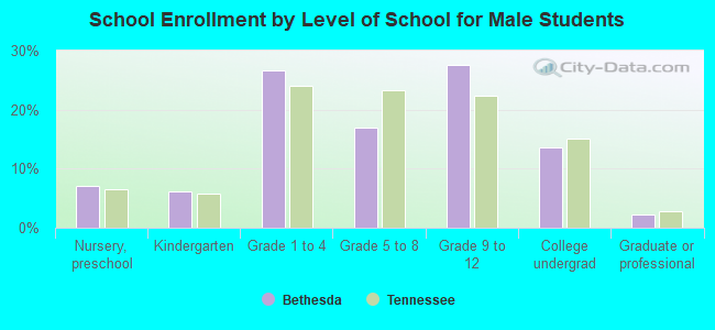 School Enrollment by Level of School for Male Students