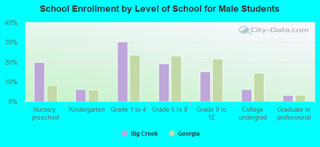 School Enrollment by Level of School for Male Students