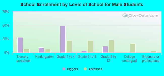 School Enrollment by Level of School for Male Students