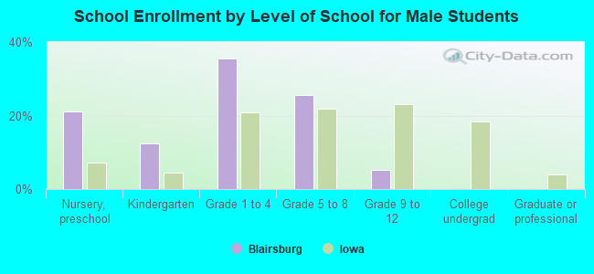 School Enrollment by Level of School for Male Students