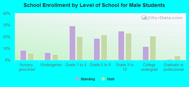 School Enrollment by Level of School for Male Students