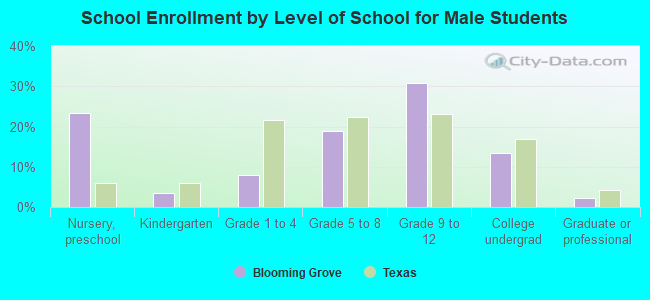 School Enrollment by Level of School for Male Students