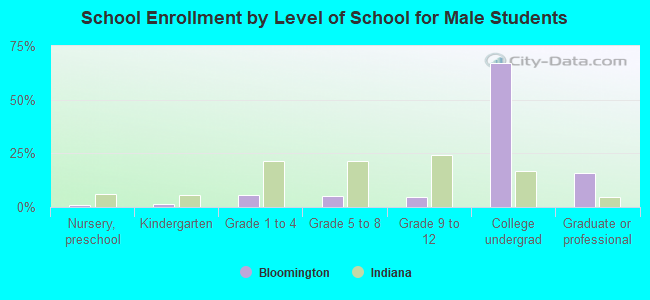 School Enrollment by Level of School for Male Students