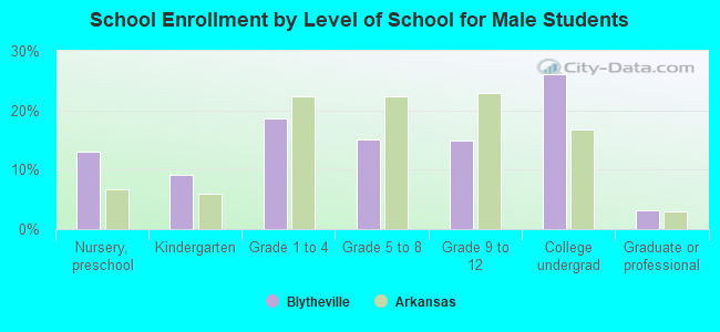 School Enrollment by Level of School for Male Students