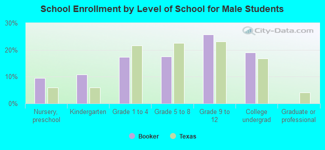 School Enrollment by Level of School for Male Students