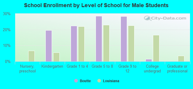 School Enrollment by Level of School for Male Students