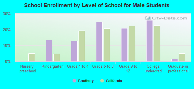 School Enrollment by Level of School for Male Students