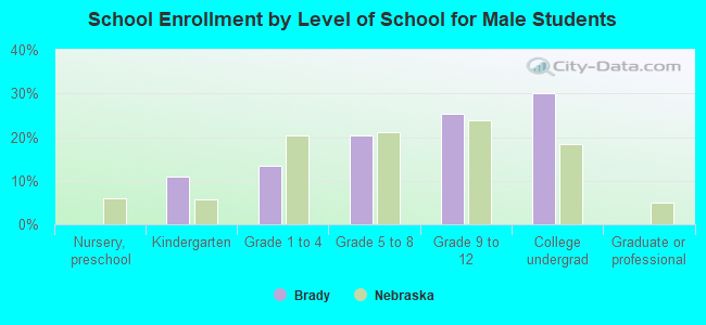 School Enrollment by Level of School for Male Students