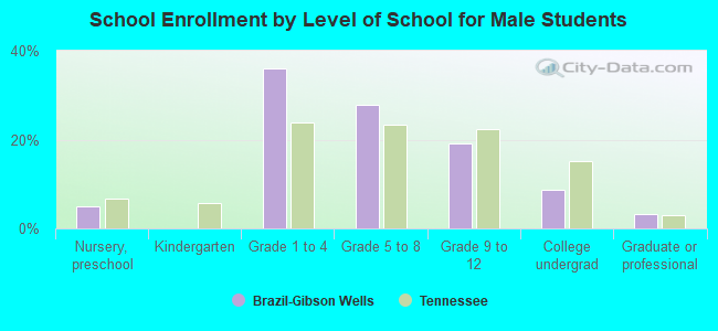 School Enrollment by Level of School for Male Students