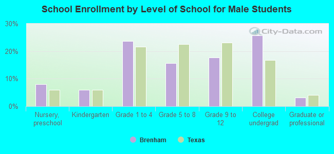 School Enrollment by Level of School for Male Students