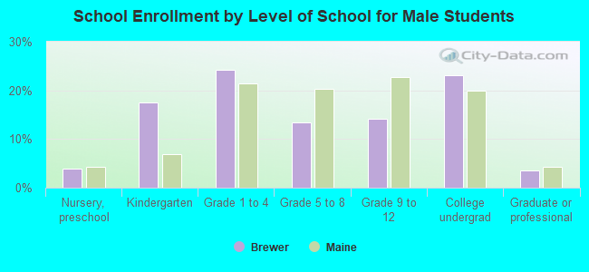 School Enrollment by Level of School for Male Students