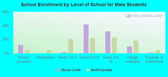 School Enrollment by Level of School for Male Students