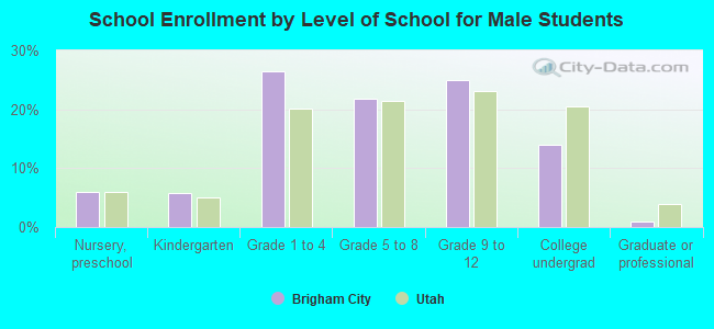 School Enrollment by Level of School for Male Students