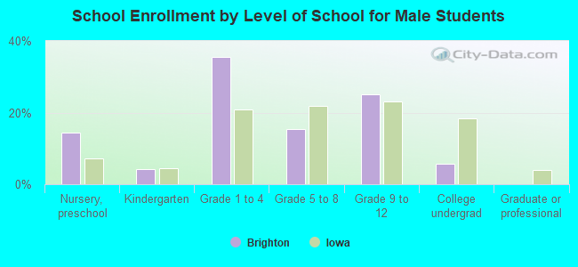 School Enrollment by Level of School for Male Students