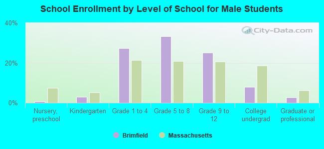 School Enrollment by Level of School for Male Students