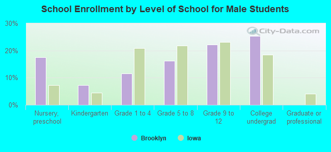 School Enrollment by Level of School for Male Students