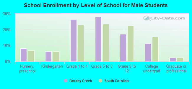 School Enrollment by Level of School for Male Students