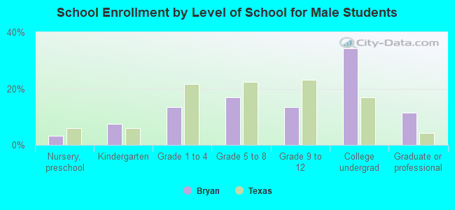 School Enrollment by Level of School for Male Students