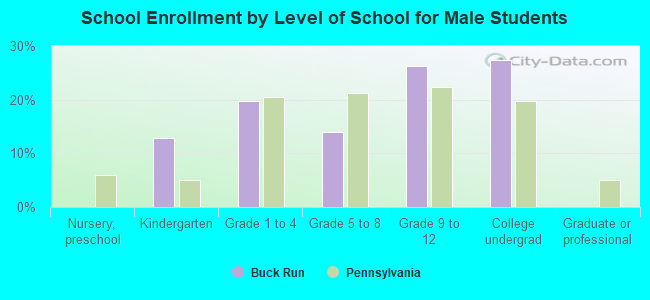 School Enrollment by Level of School for Male Students