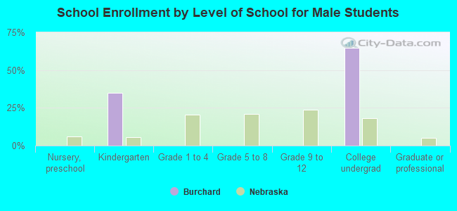 School Enrollment by Level of School for Male Students