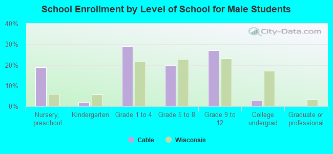 School Enrollment by Level of School for Male Students