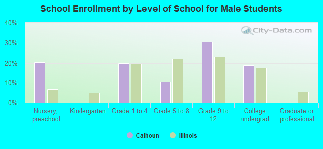 School Enrollment by Level of School for Male Students