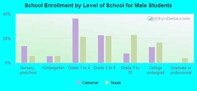 School Enrollment by Level of School for Male Students