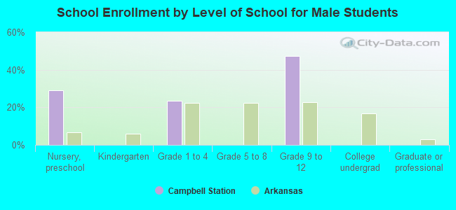 School Enrollment by Level of School for Male Students